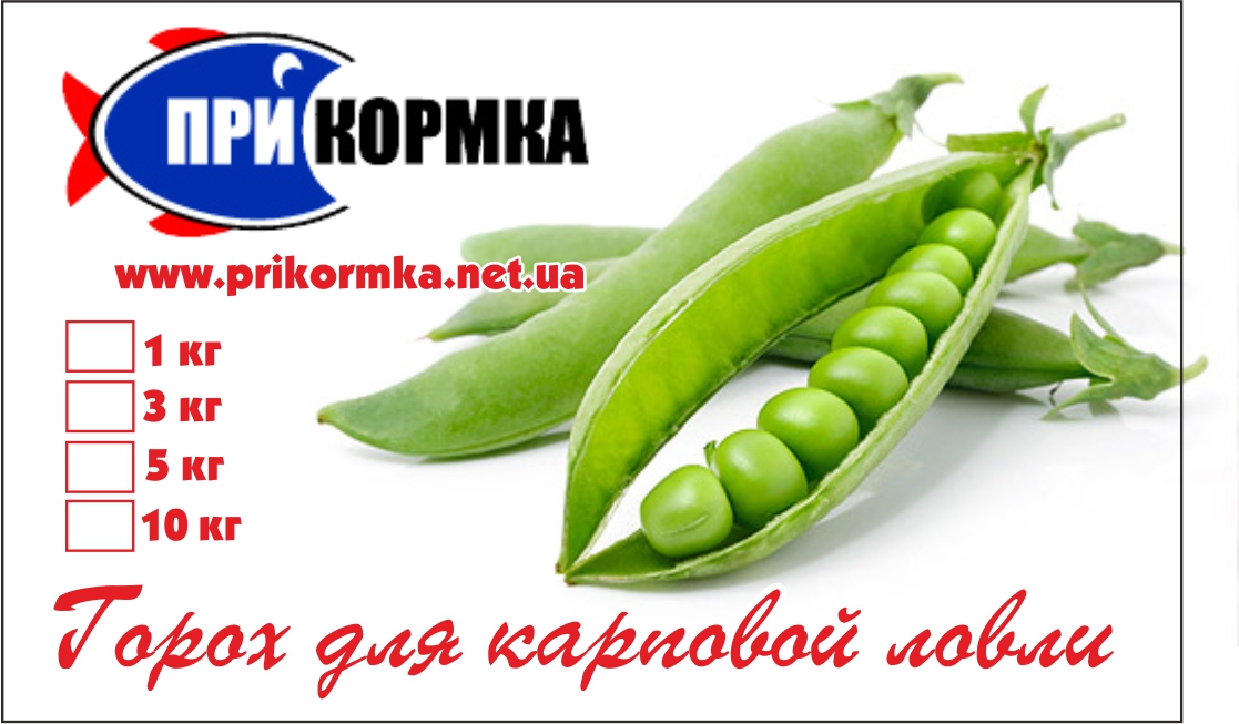 Горох